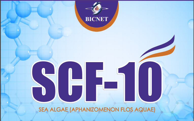 SCF-10 | BICNET